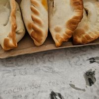  at Isla Vegana in Ushuaia