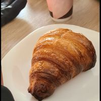  at Isla Vegana in Ushuaia