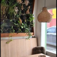  at Isla Vegana in Ushuaia