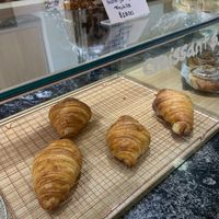   at Isla Vegana in Ushuaia