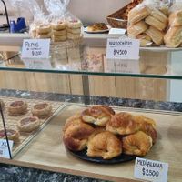  at Isla Vegana in Ushuaia