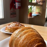   at Isla Vegana in Ushuaia