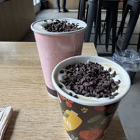   at Isla Vegana in Ushuaia