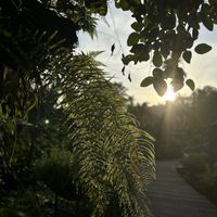   at Spa Cafe in Koh Chang