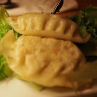 Gyoza at Plus Eight Six - Vegie & Tea in Hobart