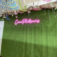 Inside  at Cocina Plantosaurus in Charles Town