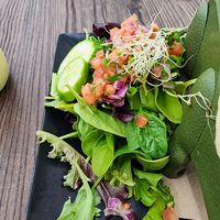 Side order salad fresh and delicious! at Cocina Plantosaurus in Charles Town