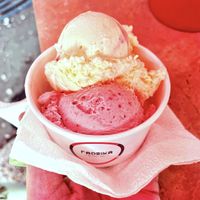 Vegan vanilla and vegan fig ice cream at Fabrika in Tirana