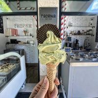  at Fabrika in Tirana