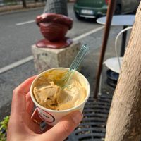 So many vegan flavours!  at Fabrika in Tirana