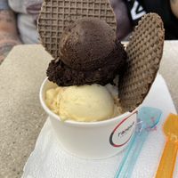 3 flavors of ice cream and vegan waffers  at Fabrika in Tirana