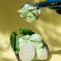 at Fabrika in Tirana