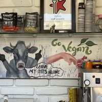   at Fabrika in Tirana