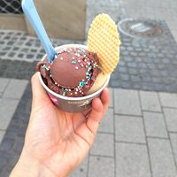 Biscoff, Blackberry-chocolate, sprinkles ✨ at Palazzo Sandro in Kaiserslautern