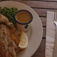  at The Architect in Cambridge