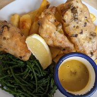  at The Architect in Cambridge