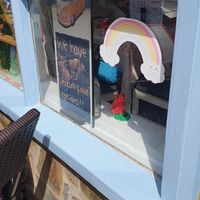 Vegan waitress at The Lunchbox in Barmouth