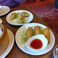  at Full Moon Express in The Hague