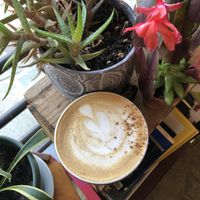   at Lit Coffee Roastery & Bakeshop in Bethlehem