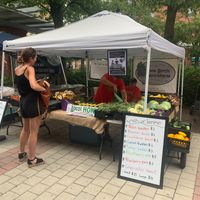 Fruit and Vegetable Stall at Bethlehem Farmers' Market in Bethlehem