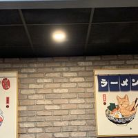 Ramen theme cat art at Kujira in Fort Collins