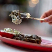 Stuffed vine leafs! Rice, lemon & mix of fresh herbs  wrapped with fresh vine leafs! Served with vegan yogurt with dill & Greek olive oil! Freshly made every day! at W Karytsi in Athens