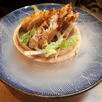 spring rolls at Sakura in Mannheim