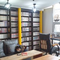 Dog friendly cozy Comic Book Café at Cafe Beanteum in Seoul