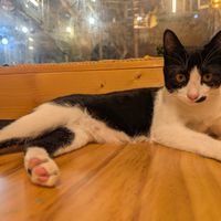  at Cafe Beanteum in Seoul