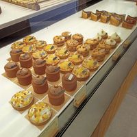 Amazing at Land & Monkeys - Turenne in Paris