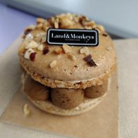  at Land & Monkeys - Turenne in Paris