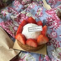   at Land & Monkeys - Turenne in Paris