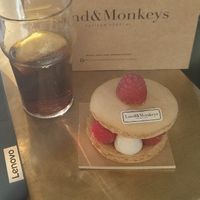  at Land & Monkeys - Turenne in Paris