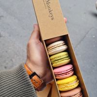 Macarons at Land & Monkeys - Turenne in Paris