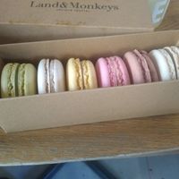 Macarons at Land & Monkeys - Turenne in Paris
