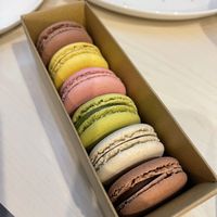 Chocolate, Lemon, raspberry, pistachio, vanilla and chocolate    at Land & Monkeys - Turenne in Paris