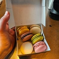  at Land & Monkeys - Turenne in Paris