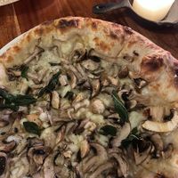Vegan Funghi pizza - mushrooms, vegan mozzarella, confit garlic, truffle oil  at Jarrah in Hillarys