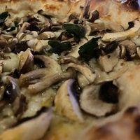 Vegan Funghi pizza - mushrooms, vegan mozzarella, confit garlic, truffle oil  at Jarrah in Hillarys