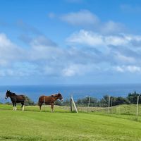 Ambiance  at Fresh Off The Grid in Kamuela