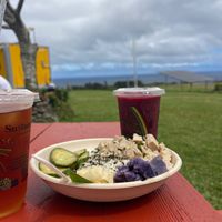 Vegan poke  at Fresh Off The Grid in Kamuela