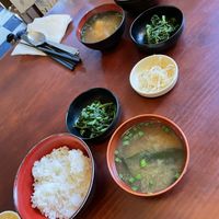 Wed special - miso, rice, veg and tofu steak  at Lung Ta in Dharamshala