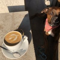   at Simply Coffee in Duisburg