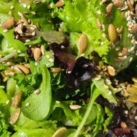 Greens and seeds at Garden Grille Cafe in Pawtucket