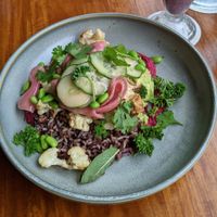 at The Deck in Airlie Beach