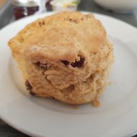 Vegan fruit scone at Clock Tower Cafe in Morpeth