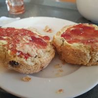 Vegan fruit scone with vegan jam and butter at Clock Tower Cafe in Morpeth