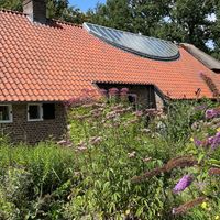 Butterflies sanctuary  at Buitencentrum De Pelen in Ospel