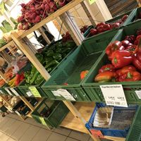 Fresh veggies  at VG Biomarkt - Mitte Verbrauchergemeinschaft in Dresden