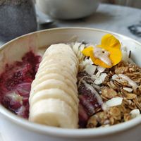  at THE WILD LAB in Brussels